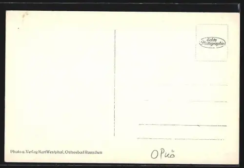 AK Neuhäuser, Ostseebad zur Abendstune