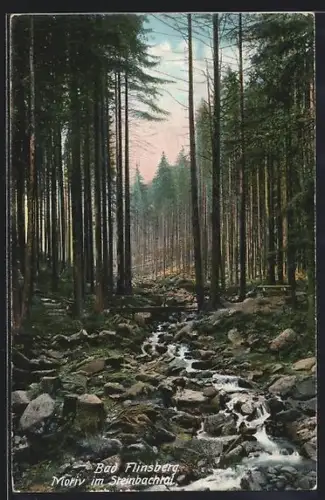 AK Bad Flinsberg, Motiv im Steinbachtal