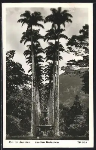 AK Rio de Janeiro, Jardim Botanico