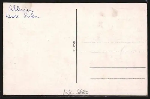 AK Sagan, Blick ins Schwimmbad