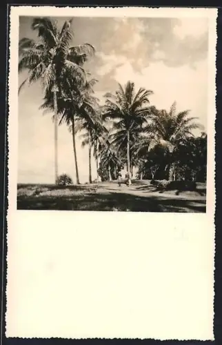 AK Coquilhatville, Le long du fleuve