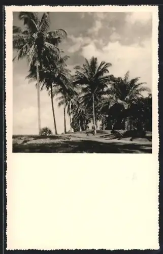 AK Coquilhatville, Le long du fleuve