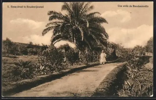 AK Baudouinville, Une allée