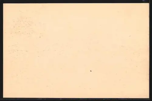 AK Albertville, Le port