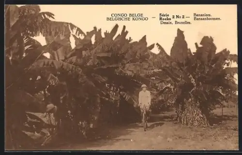 AK Congo, Bananiers