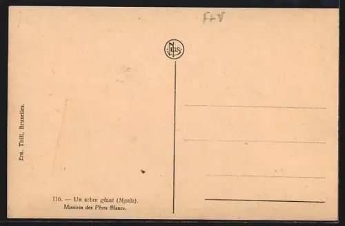 AK Mpala, Un arbre géant