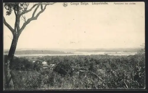 AK Léopoldville, Panorama des chutes