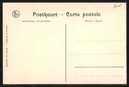 AK Moanda, Palmiers Borassus