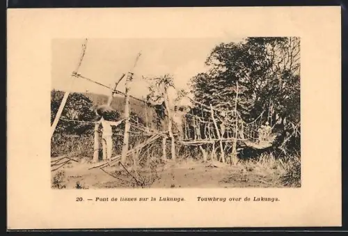 AK Congo, Pont de lianes sur la Lukunga
