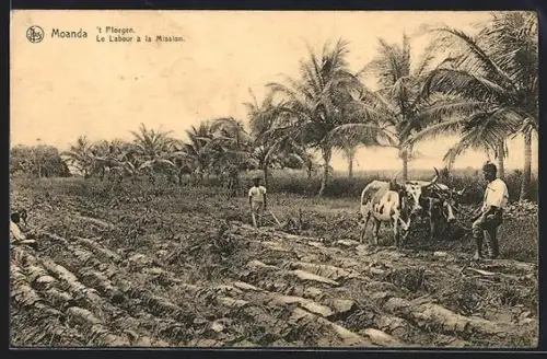 AK Moanda, Le labour à la maison