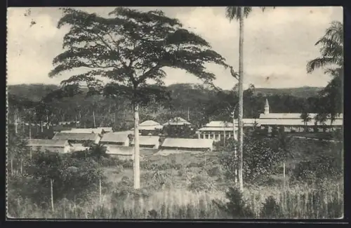 AK Kangu, Vue générale de la mission