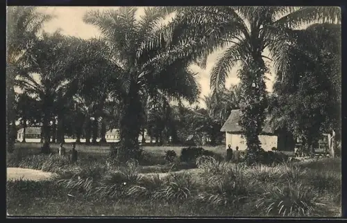 AK Nouvelle-Anvers, La Colonie scolaire