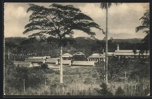 AK Kangu, Vue générale de la mission