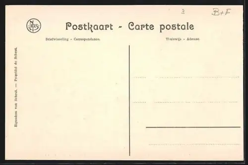 AK Moanda, Une allée de Manguiers