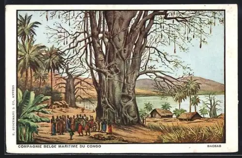 AK Baobab, Vue partielle