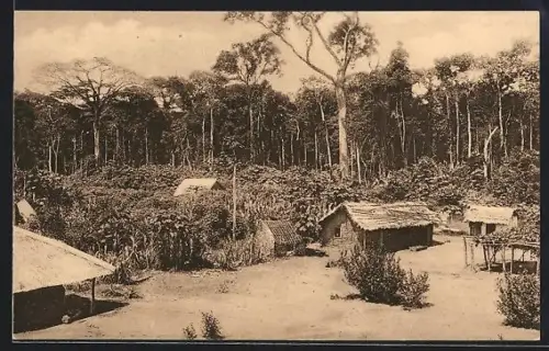 AK Coquilhatville, Vue partielle