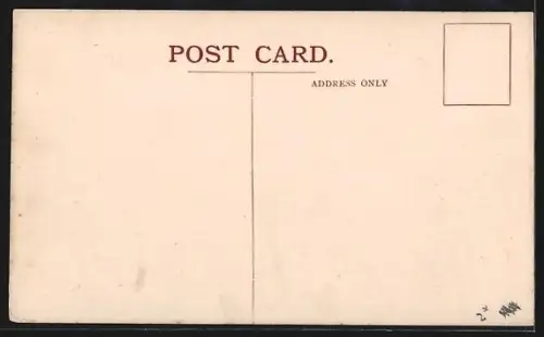 AK Algoa Bay, Panorama