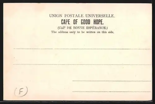 AK King William`s Town, Panorama