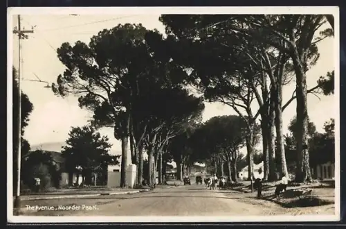 AK Paarl, The Avenue