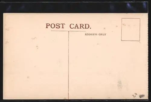 AK Cape Town, Mount Nelson Hotel