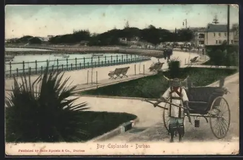 AK Durban, Bay Esplanade