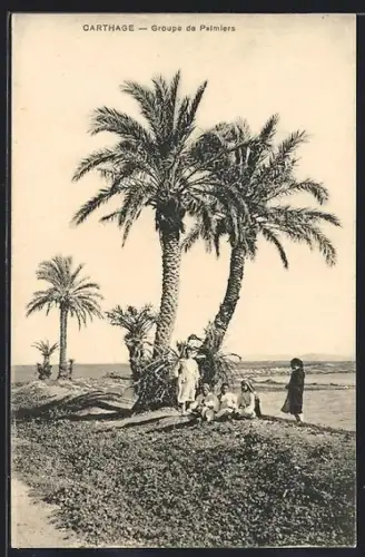 AK Carthage, Groupe de Palmiers