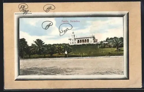 AK Tunis, Belvedère