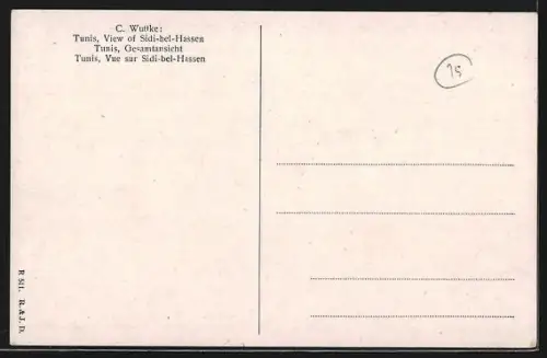 AK Tunis, Gesamtansicht aus der Vogelschau