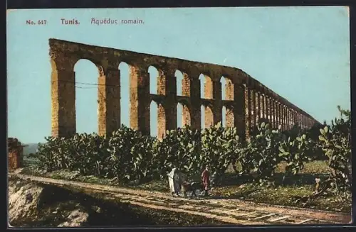 AK Tunis, Aquéduc romain