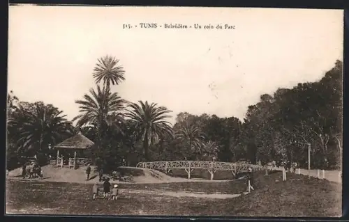 AK Tunis, Belvédère, Un coin du Parc