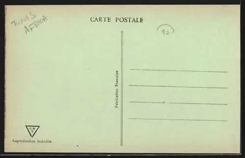 AK Tunis, Belvédère, Un coin du Parc