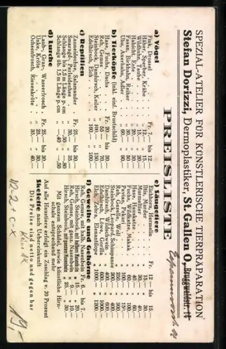 AK St. Gallen, Spezial-Atelier für künstlerische Tierpräparation Stefan Dorizzi, Bruggwaldstrasse 14, Jagd