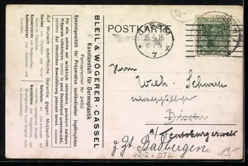 AK Cassel, Bleil & Wögerer, Kunstanstalt für Dermoplastik, Jagd