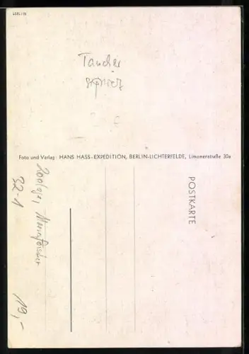 AK Zoologe und Meeresforscher Hans Hass