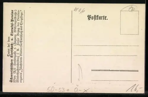 AK Wien, Tiertränkebrunnen am Getreidemarkt, Tierschutz