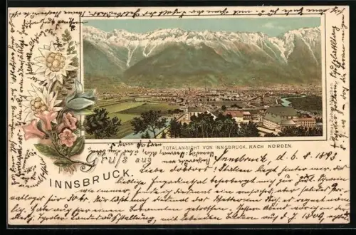 Vorläufer-Lithographie Innsbruck, 1893, Totalansicht mit Alpen, Edelweiss im Passepartout