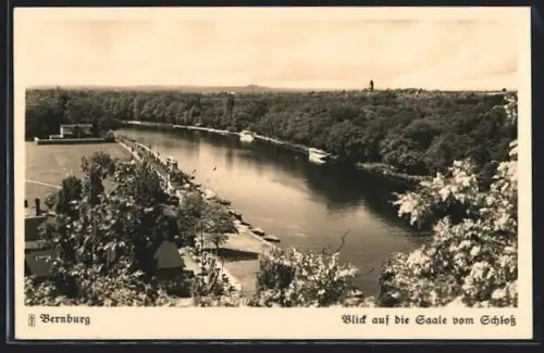 AK Bernburg, Blick auf die Saale vom Schloss
