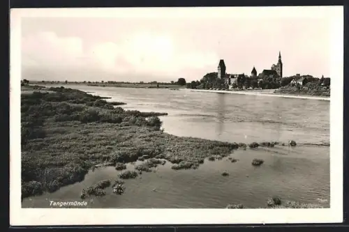 AK Tangermünde, Uferpartie mit Blick zum Ort