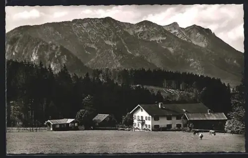 AK Inzell /Obb., Gasthof Forsthaus Einkehr Adelgass