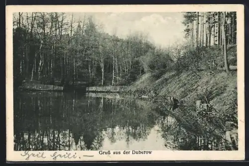 AK Duberow, Teich im Wald