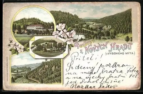 Lithographie Vysoke Myto, Novy Hrad, Ortsansichten, Landschaft mit Bergen u. Gewässer