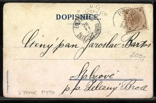 Lithographie Vysoke Myto, Novy Hrad, Ortsansichten, Landschaft mit Bergen u. Gewässer