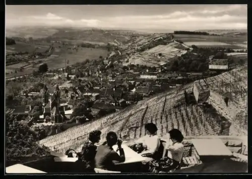 AK Freyburg /Unstrut, Blick vom Hotel Edelacker auf die Weinberge und den Ort