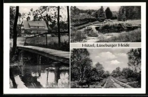 AK Hützel /Lüneburger Heide, Pension Buschhus, Fischteiche, Weg nach Bispingen
