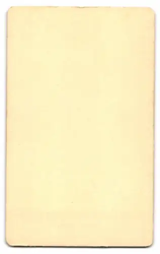 Fotografie Charles Denis Bourbaki, französ. General in Uniform mit Orden