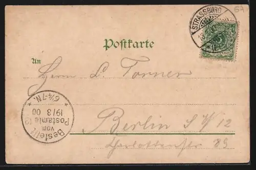 Lithographie Strassburg i. E., Totalansicht vom Spitalthor