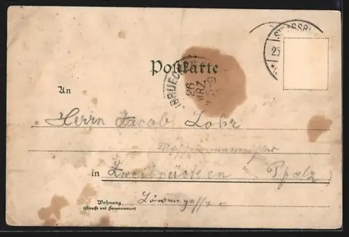 Lithographie Strassburg, Kaiserpalast, Elsässerin, Teilansicht mit Münster