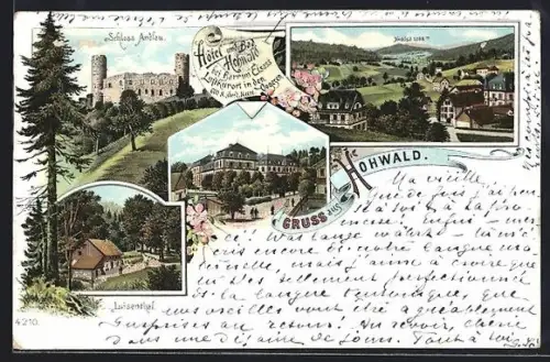 Lithographie Barr im Elsass, Hotel u. Bad Hohwald, Luisenthal, Schloss Andlau, Ortsansicht mit Hochfeld