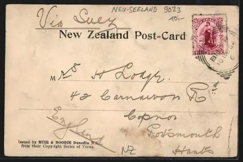 AK Port Chalmers, View of the port with anchoring steamer
