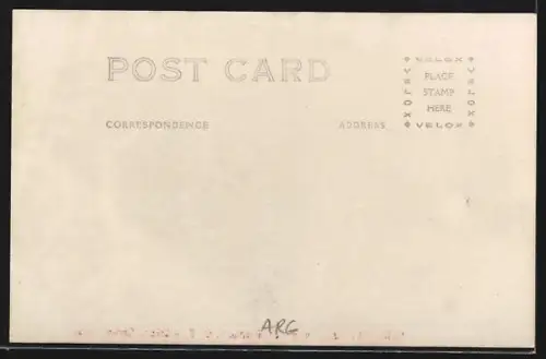 AK Mendoza, Panorama de la Cordillera F. C. T.